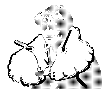 salvag2.gif (7696 byte)