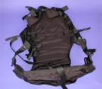 harness.jpg (3331 byte)