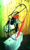 minipl37.jpg (84156 byte)